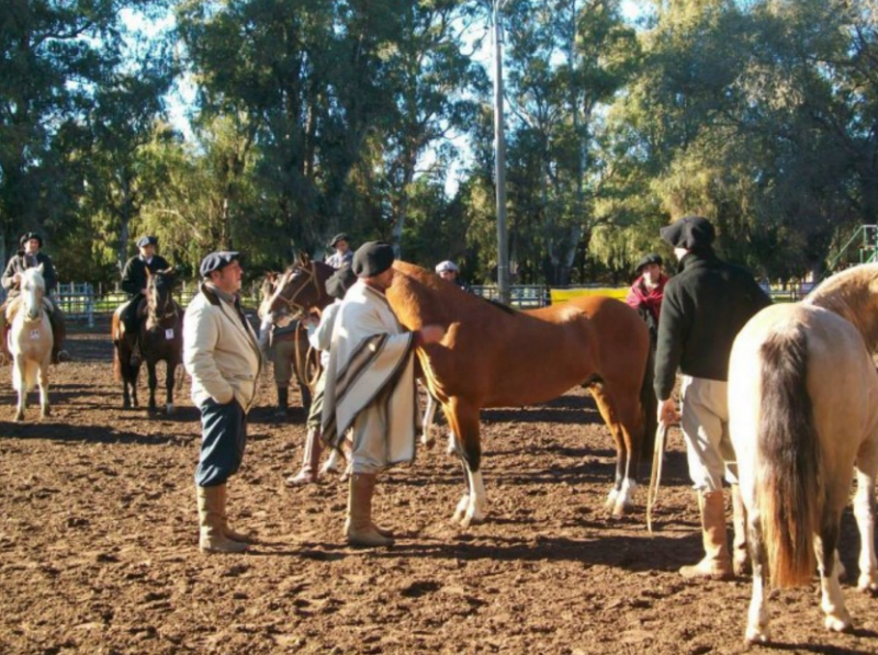 Tandil-Sede-de-la-Exposicion-de-Caballos-Criollos