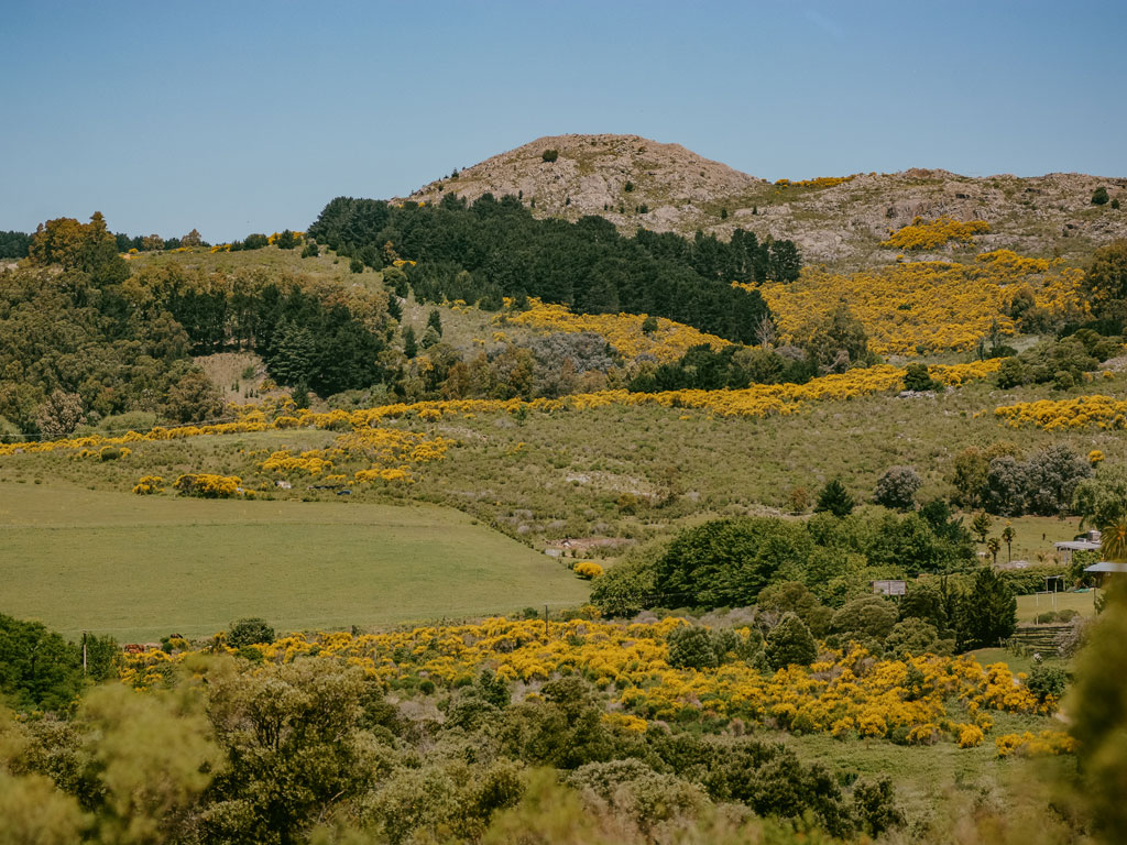 Valle de la Luna