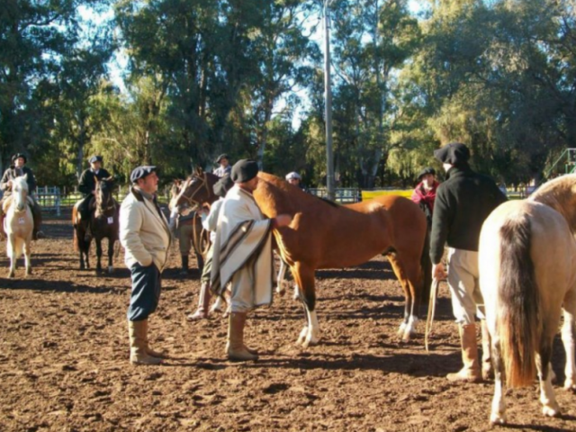 Tandil Sede de la Exposicion de Caballos Criollos