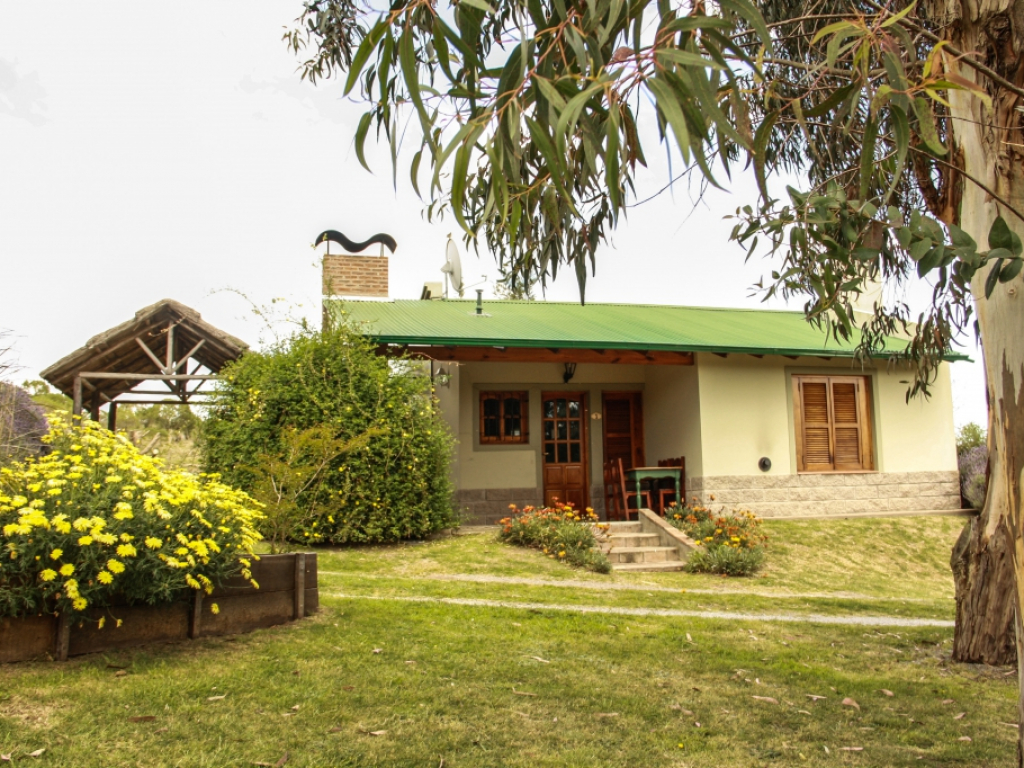 Chacay